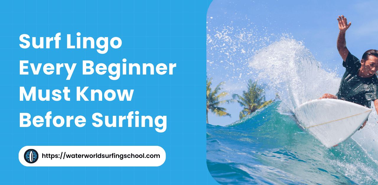 surf lingo spots waves