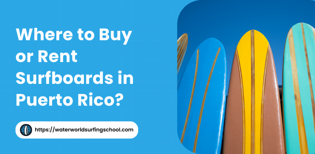 Surfboards in Puerto Rico